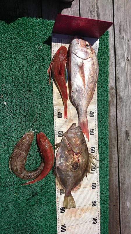 正幸丸 釣果