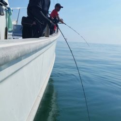 第五慶門丸 釣果