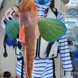 遊漁船 ニライカナイ 釣果