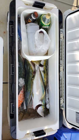 遊漁船 ニライカナイ 釣果