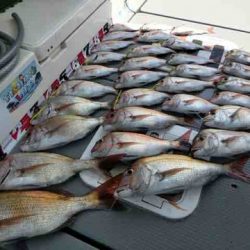 遊漁船 セトマリン 釣果