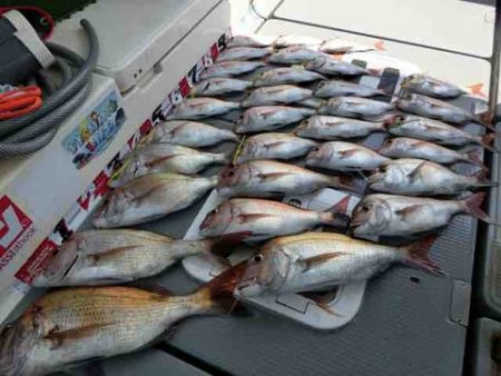 遊漁船 セトマリン 釣果