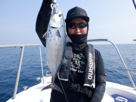 開進丸 釣果