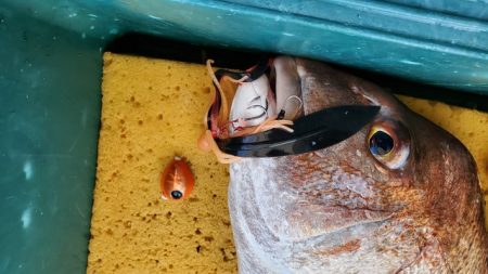 遊漁船 ニライカナイ 釣果