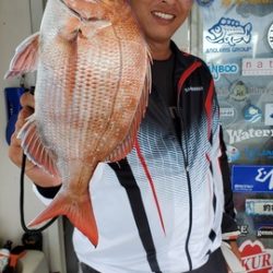 遊漁船 ニライカナイ 釣果