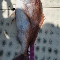 遊漁船 ニライカナイ 釣果