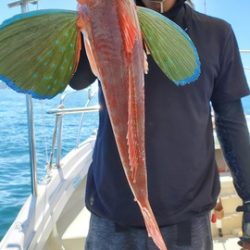 遊漁船 ニライカナイ 釣果