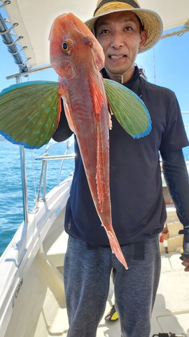 遊漁船 ニライカナイ 釣果