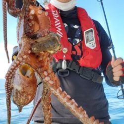 遊漁船 ニライカナイ 釣果