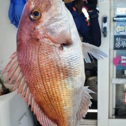 遊漁船 ニライカナイ 釣果