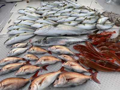 ミタチ丸 釣果