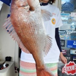 遊漁船　ニライカナイ 釣果
