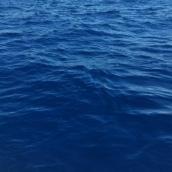 第五慶門丸 釣果