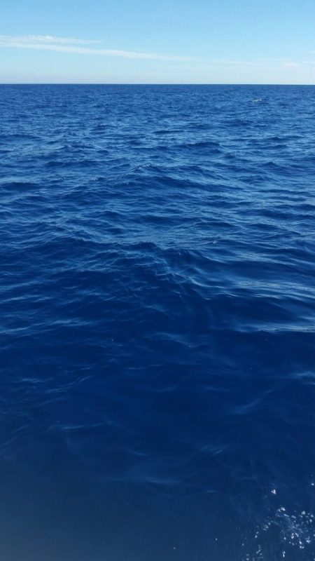 第五慶門丸 釣果