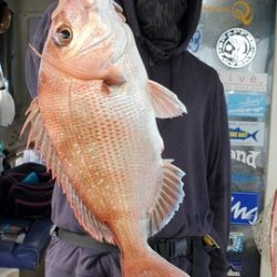遊漁船 ニライカナイ 釣果