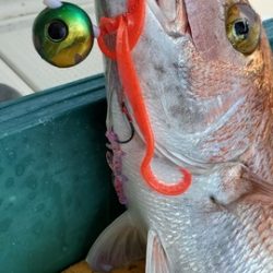 遊漁船 ニライカナイ 釣果