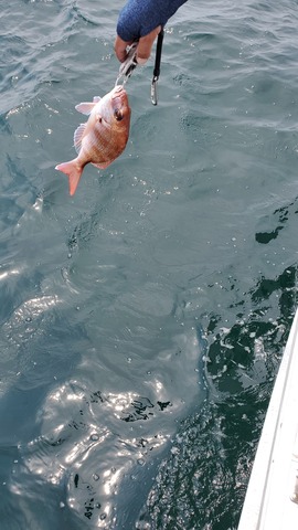 遊漁船 ニライカナイ 釣果