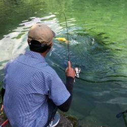 フィッシング サンクチュアリ 釣果