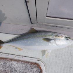 遊漁船 遊友 釣果