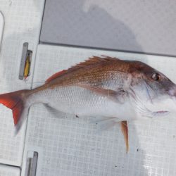 遊漁船 遊友 釣果