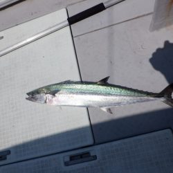 遊漁船 遊友 釣果