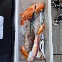 和丸（三重） 釣果