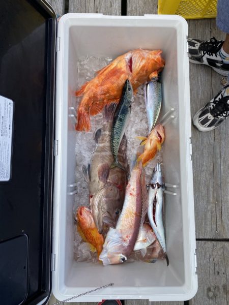 和丸（三重） 釣果