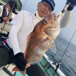 シードリーム 釣果