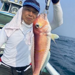 シードリーム 釣果