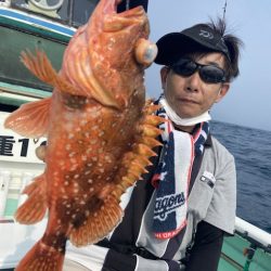 シードリーム 釣果