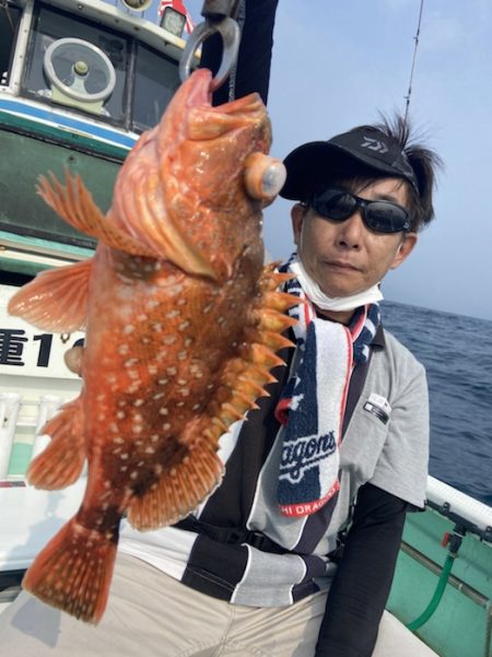 シードリーム 釣果