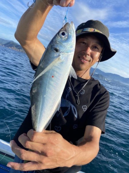 シードリーム 釣果