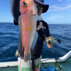 シードリーム 釣果