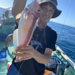 シードリーム 釣果