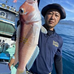 シードリーム 釣果