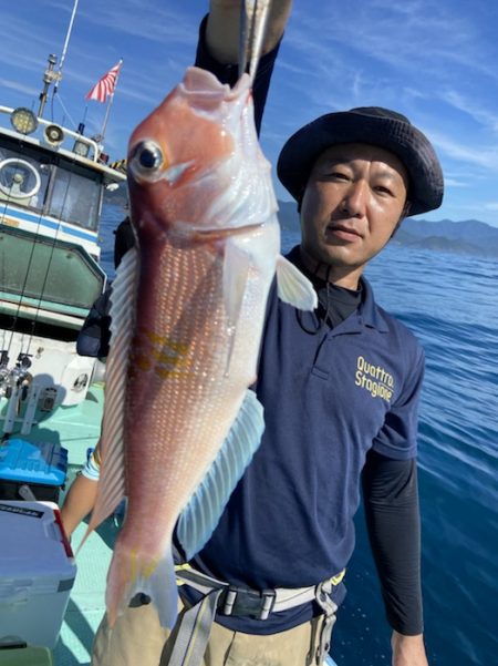 シードリーム 釣果