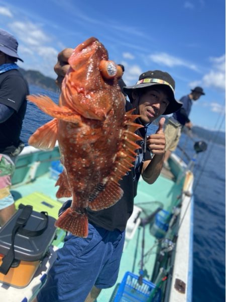 シードリーム 釣果