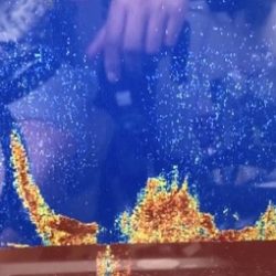 シーモンキー 釣果