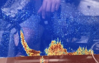 シーモンキー 釣果