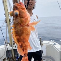 シーモンキー 釣果