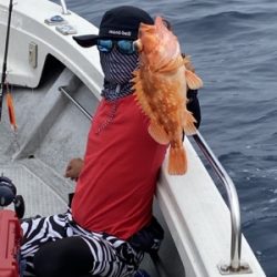 シーモンキー 釣果