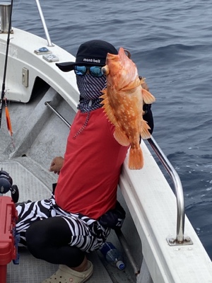 シーモンキー 釣果