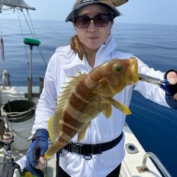 シーモンキー 釣果