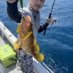 シーモンキー 釣果