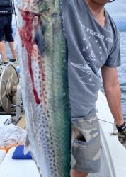 シーモンキー 釣果