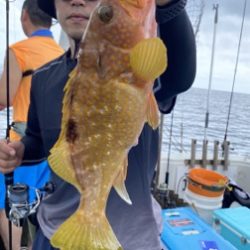 シーモンキー 釣果