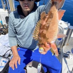 シーモンキー 釣果