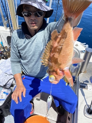 シーモンキー 釣果