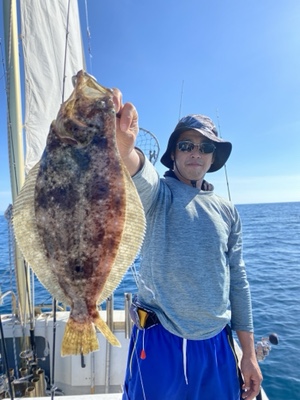 シーモンキー 釣果