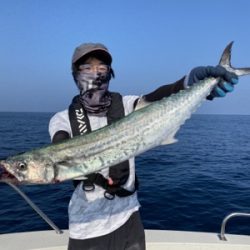 シーモンキー 釣果